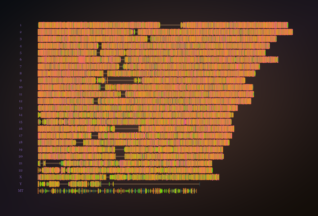 Abstract layered bands of colour derived from a genome sequence