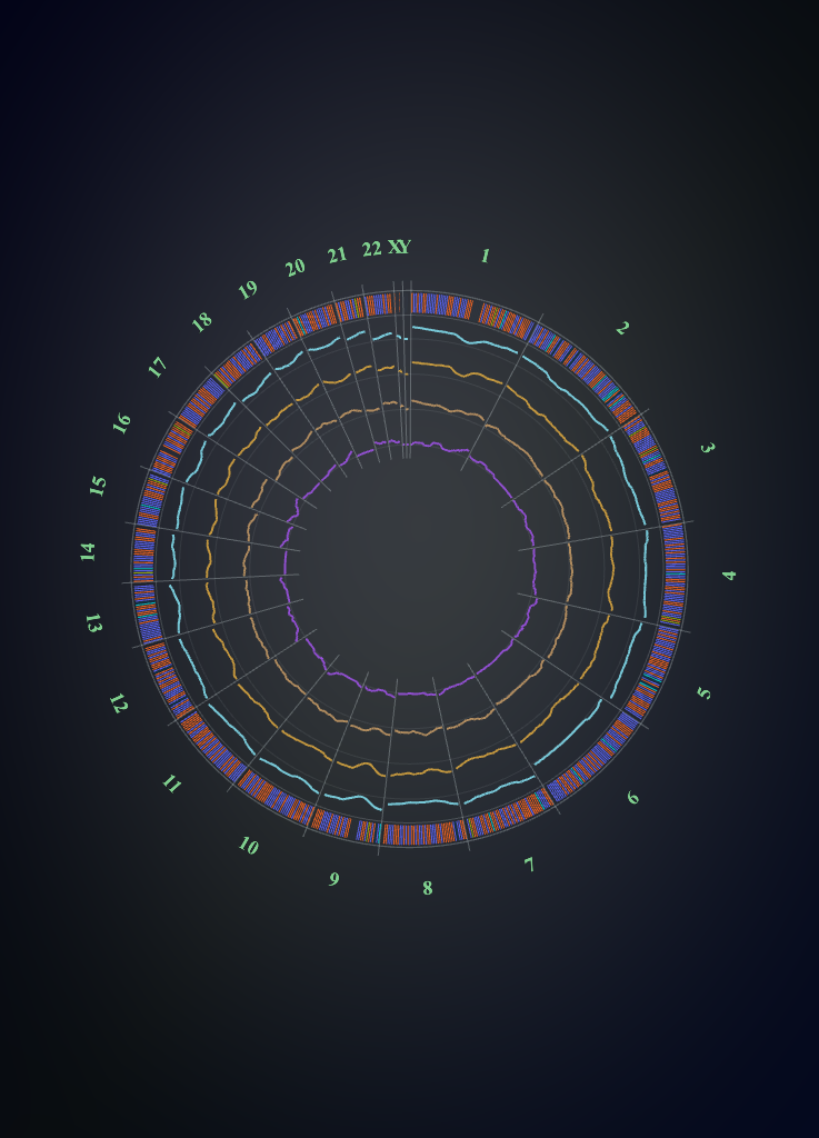 Intricate circular artwork with concentric rings and patterns rendered from a DNA file