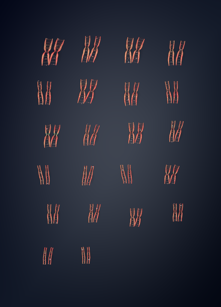 Decorative artwork arranged in a karyogram-inspired grid, generated from DNA data